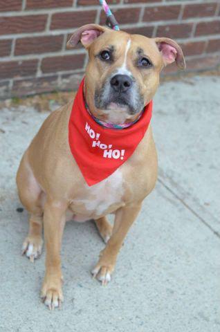 Southern Pride tweet media