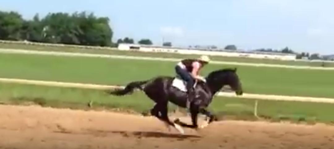 ohmelly's tweet image. 💜 #trackriding