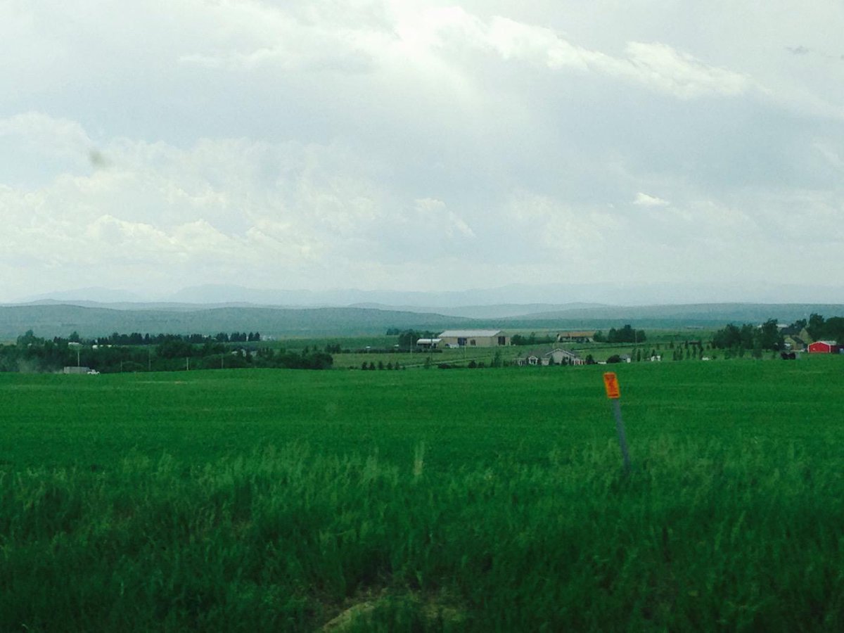 So green!
