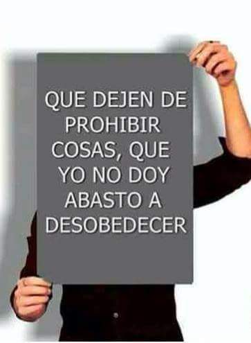 Marcos Maroto Maeso (@marcosmaroto1) on Twitter photo 