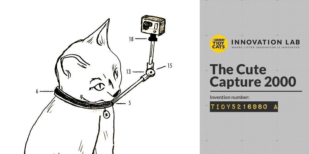TidyCats's tweet photo. The Tidy Lab wants to hear your cat invention ideas. Share them w/ the hashtag #Catventions. Be part of the solution. http://t.co/QbOZqNrWPb