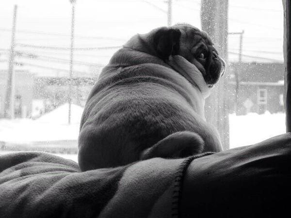 Alextrxm's tweet photo. quand je suis triste et que quelqu'un me demande si ça va http://t.co/QoySnKsn3P