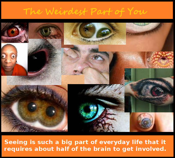 WeirdLocker's tweet image. #weird