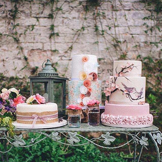 Sophia Rose Cake Design tweet media