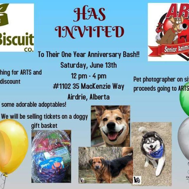 Come support <a href="/ARTSSeniors/">ARTS Senior Animal Rescue</a>
