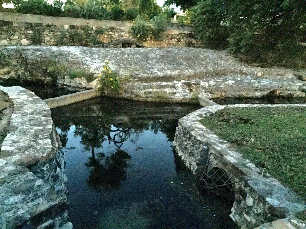 SergioChapa tweet picture
