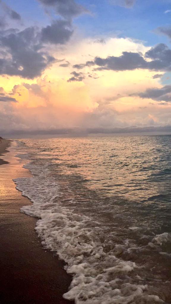JJufko's tweet photo. Saltwater heals everything🌾@RealSaltLife #ManasotaBeach #Sunset #SaltLife http://t.co/VYdMwVHPLh