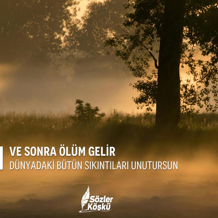 #Mutlu1Ömürİçin

Ve sonra ölüm gelir, Dünyadaki bütün sıkıntıları unutursun