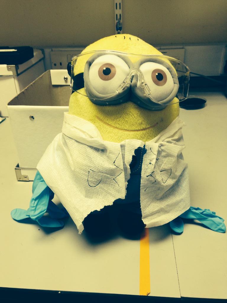 rojocullen's tweet photo. @joeboating or would he take a shining to one of our lovelier colleagues? #TimHunt #ForbiddenLabLove #SafetyFirst http://t.co/OfEFiC0WNe