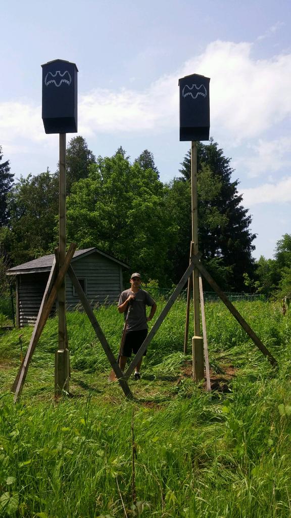 badcowildlife's tweet image. 2 bat houses installed in Lynden, Ont. Gives evicted bats a place to stay. #helpthebats #humanesolutions @CWF_FCF