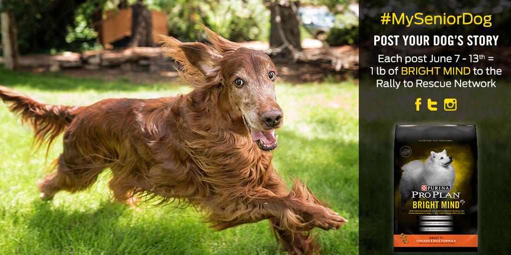“<a href="/ProPlan/">Pro Plan</a>: <a href="/InnaBottleton/">In-Ni Choi</a> That face! Tell us more. We're donating right now for every #SeniorDog story shared. ”i