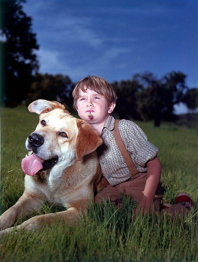 Happy 66th Birthday to Kevin Corcoran \"Moochie\"
Old Yeller
Pollyanna
Swiss Family Robinson
Spin & Marty 