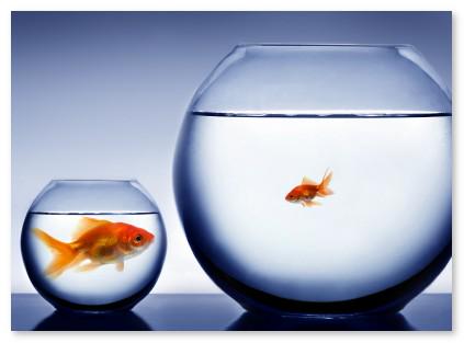 CCIQ welcomes Government clarity between Big and Small Business
bit.ly/1FHIu61