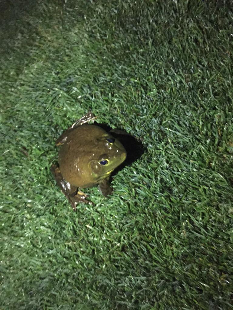 taylorlauryyn's tweet image. Last night was hoppin🐸😂 #ThingsToDoInIdaho