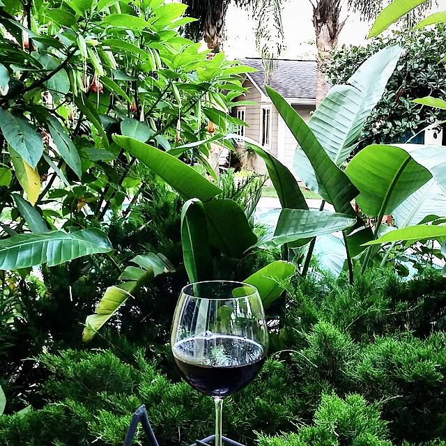 LoggiaGloria's tweet image. InstaPic by ramirofonseca: Home at last. #timetowinddown #wine #vino #chianti #chianticlassico #noplacelikehome