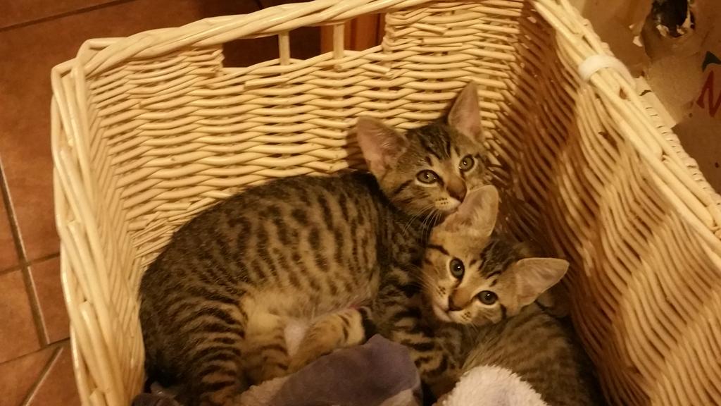 BeOkay4's tweet image. 