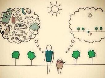 TuFraseDisney's tweet photo. Por qué tu perro es más feliz que tú. http://t.co/MeyA8LoBrD