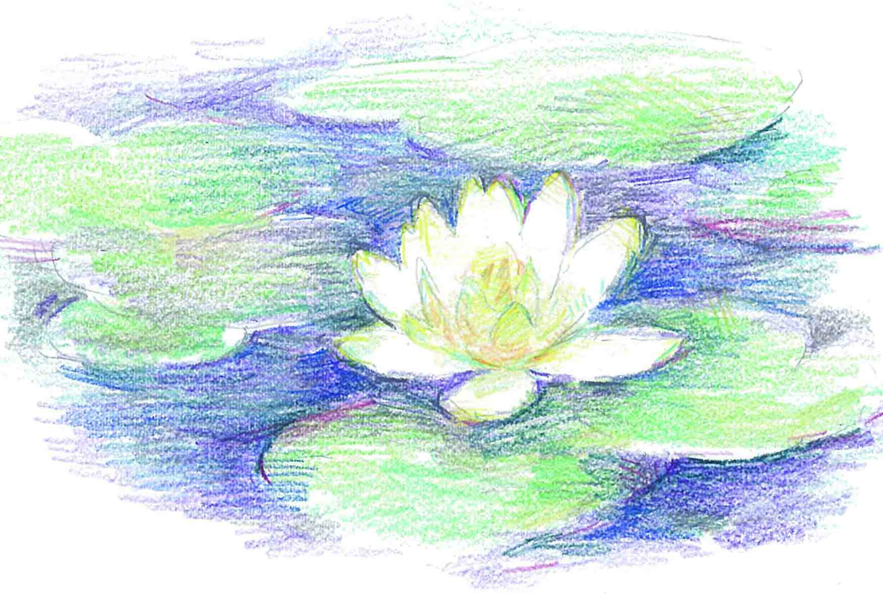 Artgym Ochabi 6 26 金 色鉛筆デッサン の参考作品が井上先生から届きました 今回は睡蓮 で有名なモネの色使いを模写して絵を描いていきます 画材は貸し出しもございますので初心者の方でも安心です Http T Co Pfpmbadfni Http T Co zyxtk