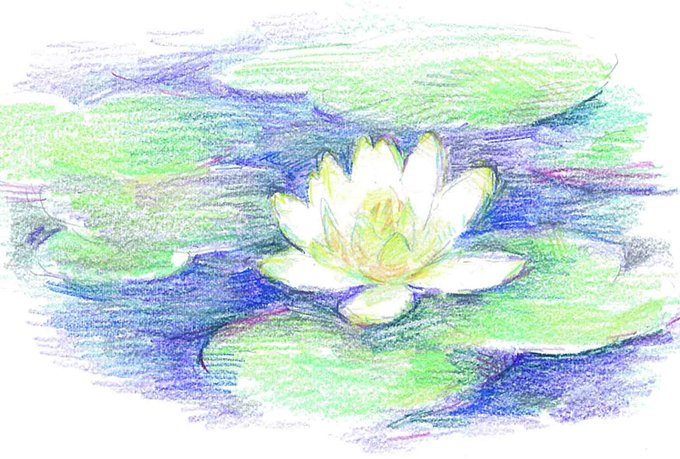 色鉛筆デッサンのtwitterイラスト検索結果 古い順