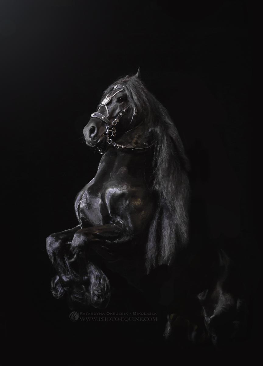 Photo_Equine's tweet photo. http://t.co/Ern6iqxQSo