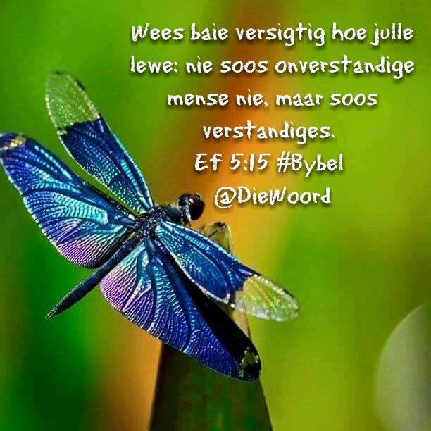 Wees baie versigtig hoe julle lewe: nie soos onverstandige mense nie, maar soos verstandiges. Ef 5:15 #Bybel