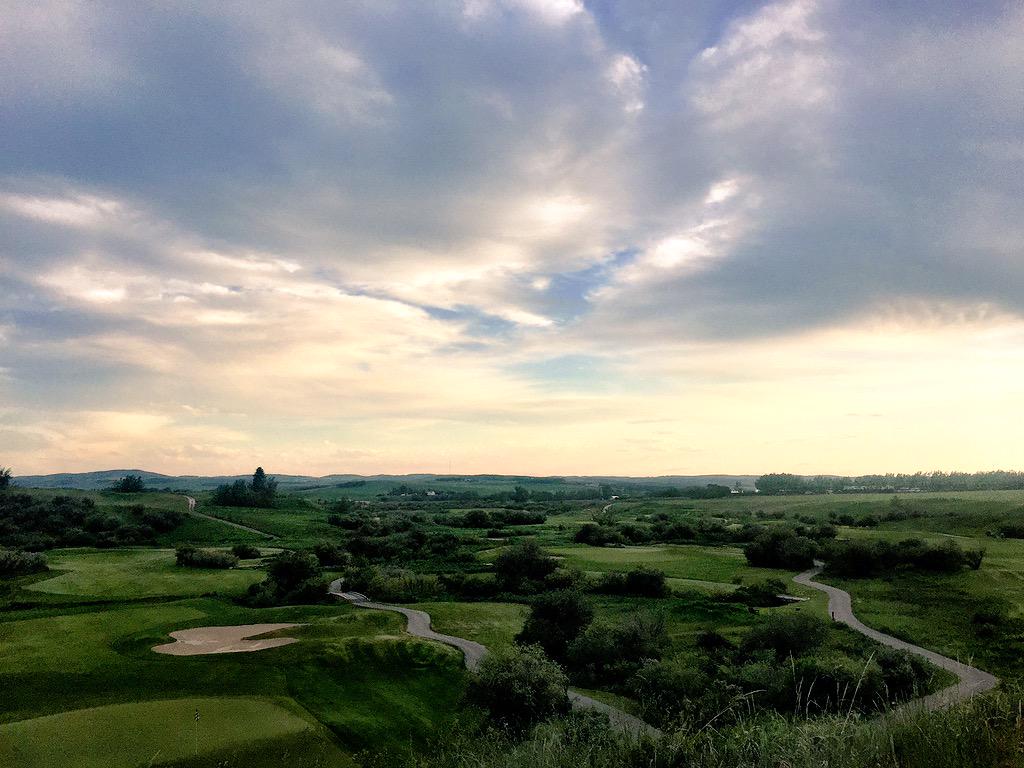 nessincalgary's tweet image. Dinner with a stunning view! Thanks for taking such good care of us Sara! 😃#capturecalgary