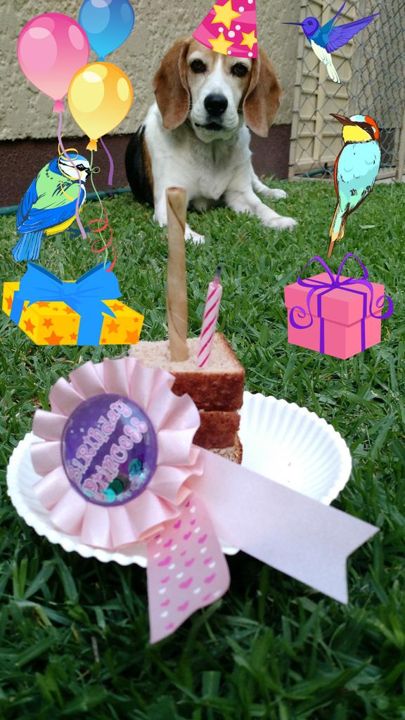 Que hermosa fiesta de cumpleaños tuve con mis mejores amigos!  #HBDRobertita11thEdition