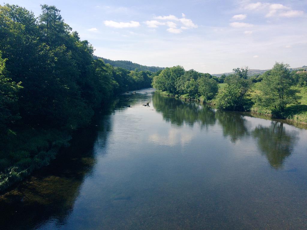 WUFoundation's tweet photo. WUF farm advisers got to see 4 Lamprey spawning after work yesterday #jobmotivation #riverwye #fishfriendlyfarming http://t.co/M5UPG22KQj