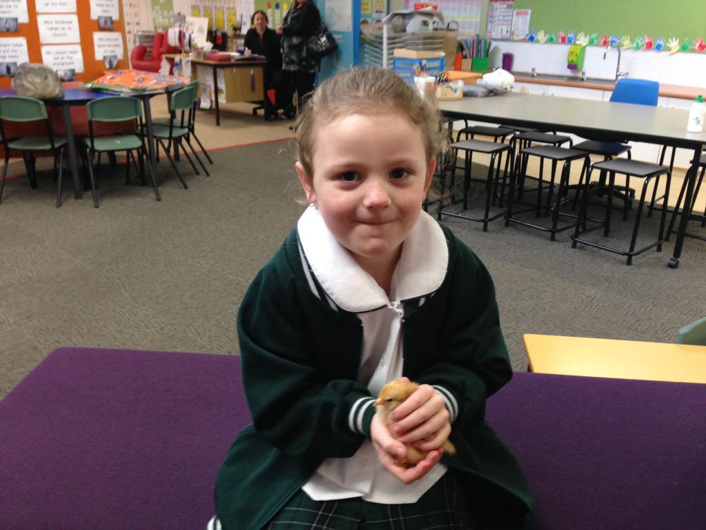 ccckindergarten's tweet photo. Enjoying time with our chicks @cccranebrook #corpuscranebrook http://t.co/oXNN85iEUl
