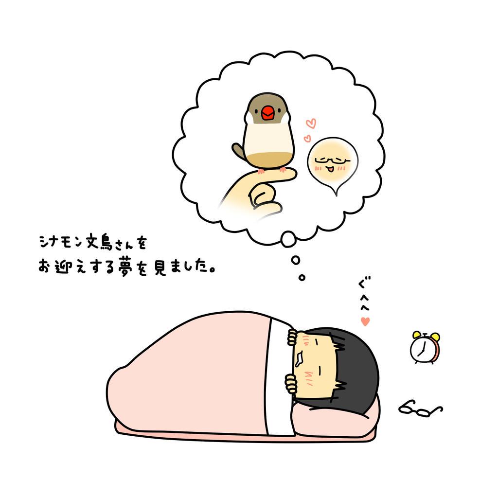 とき No Twitter 起きてガッカリした イラストエッセイ 絵日記 えにっき コミックエッセイ 絵 イラスト 1コマ漫画 1コマ 漫画 マンガ お絵描き シナモン文鳥 文鳥 夢オチ 夢 Http T Co Pckexntlet