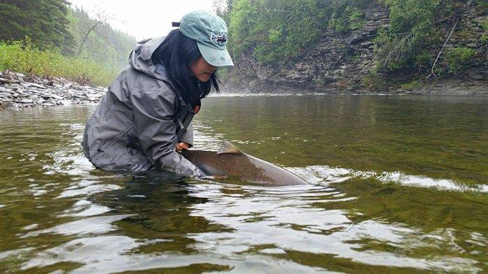 QuebecSporting's tweet image. Hyun Kounne NY- York river June 10 - fishig with Jessica Leittich, PA...Great team work!
#Gaspe #LadiesFishing