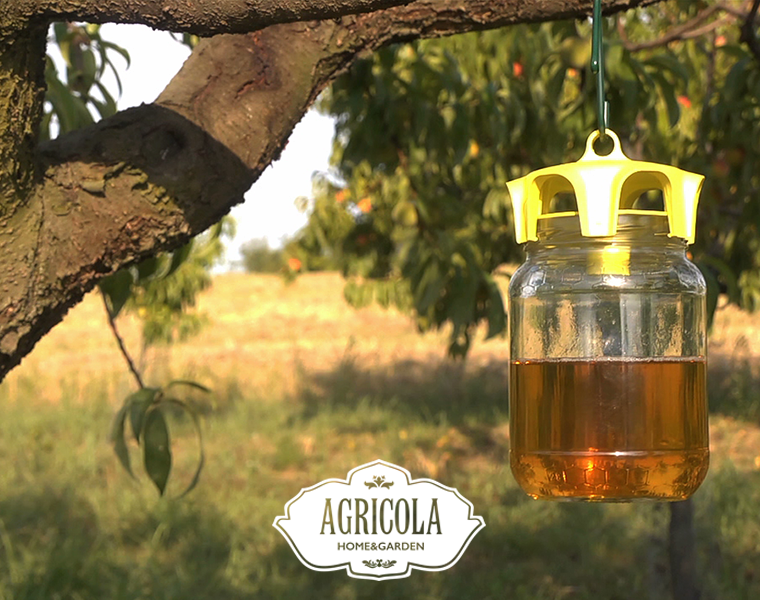 agricolashop's tweet photo. #TapTrap è la risposta naturale ai problemi di #insetti volanti nel tuo #giardino: vieni a scoprirlo in #negozio! http://t.co/b4pkcyYvmc