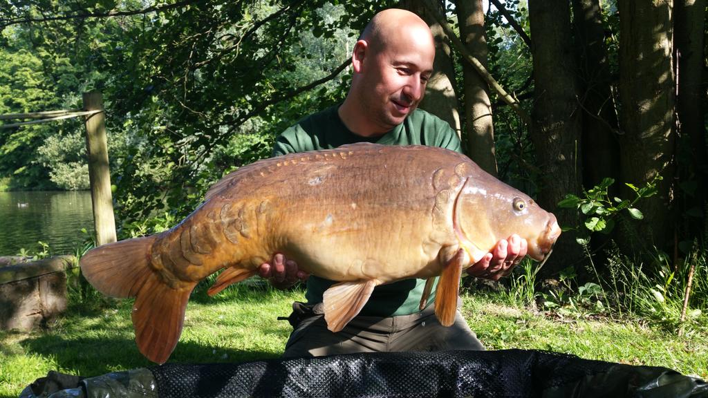 botln's tweet image. 20lb12oz Cracker from Jenkins Lake, Churchwood Fisheries this morning. Stunning!!