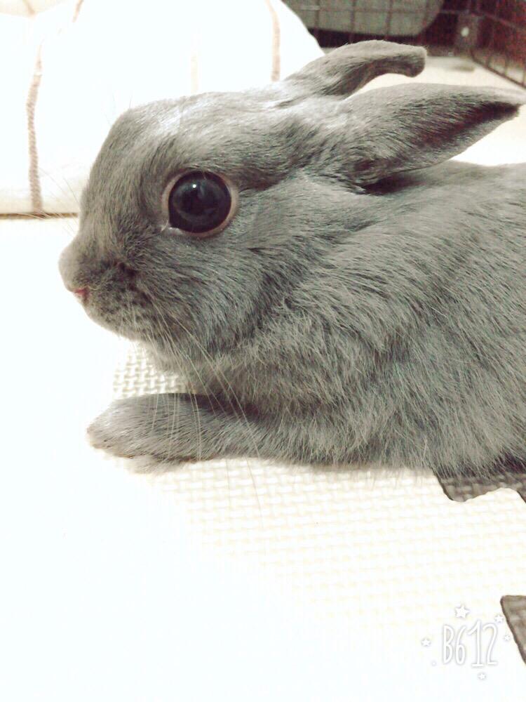 なーんかちょっと困り顔😮