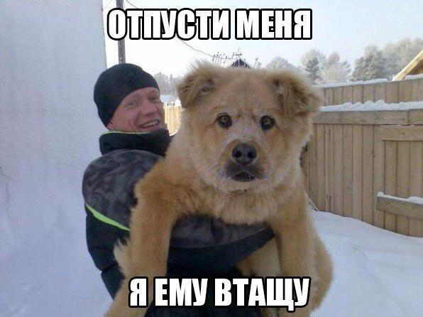 Вот это шутеечка (@shuteechka) on Twitter photo 