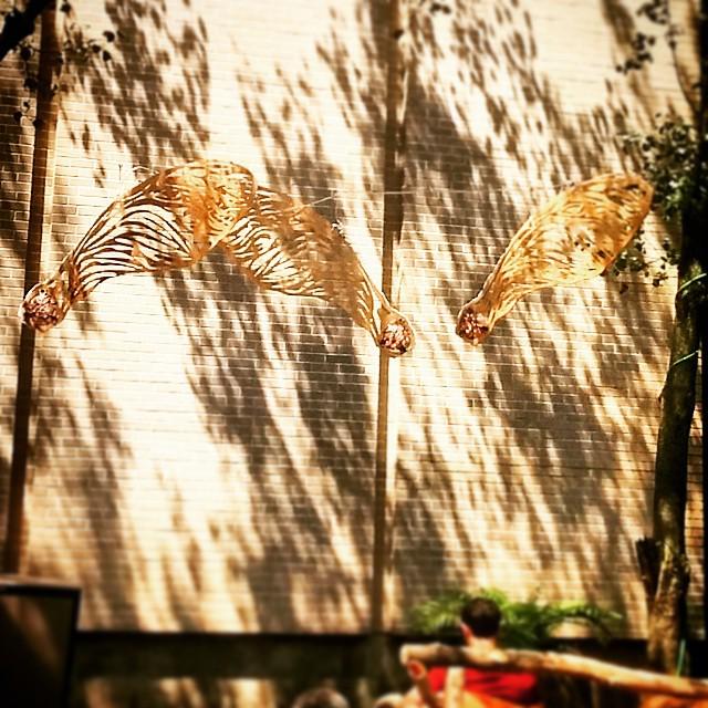 bestofprinceton's tweet image. #princetonparklet #mapleseeds #princeton #coffee #art by @lemasney ift.tt/1MsUkVD