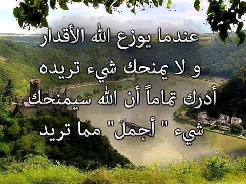 20efc57fd71c43e's tweet photo. http://t.co/JZdxNgnAmw