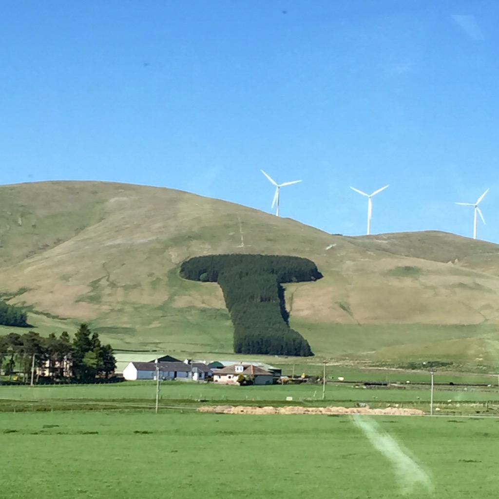DeadbeatPad's tweet photo. Always notice this group of trees on my way in/out of Scotland. Not sure why it draws the eye so much... #cockforest http://t.co/8U0G7mLTA8
