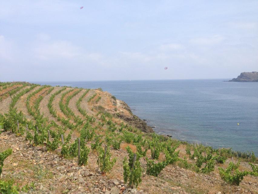 MatthewStubbsMW's tweet photo. Living on the edge in #Banyuls http://t.co/s2rTJoEYvp