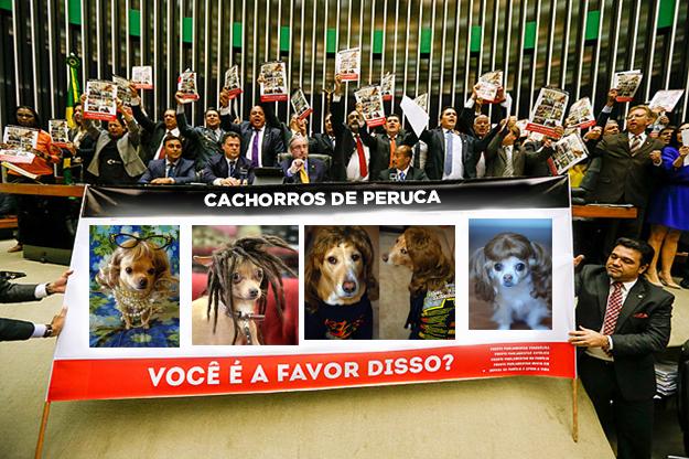 Link permanente da imagem incorporada