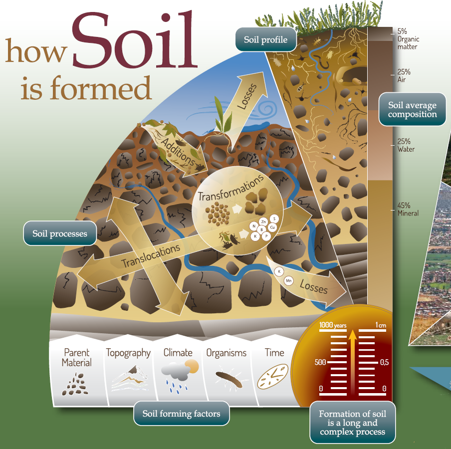 Syngenta's tweet photo. When #soil is formed, many processes are going on. See for yourself: http://t.co/5m3GHvNzwM HT @FAOKnowledge #IYS2015 http://t.co/SektPfI0PE