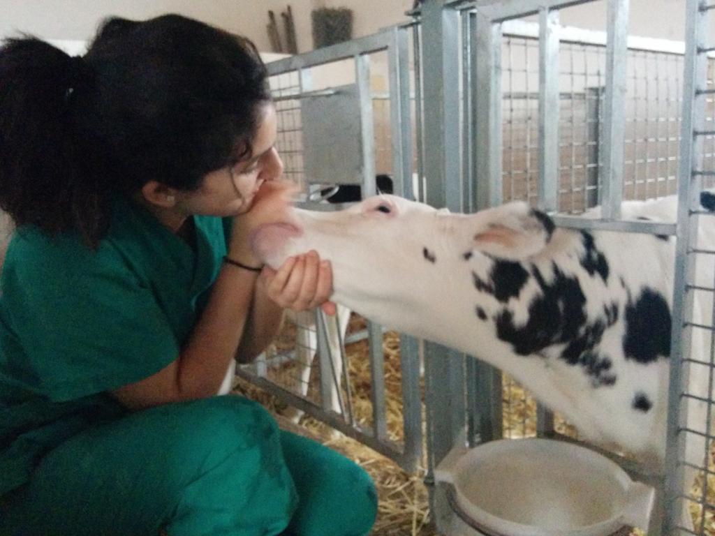 VCarrilero's tweet photo. Un día de trabajo veterinario http://t.co/B7TQzIqjgP