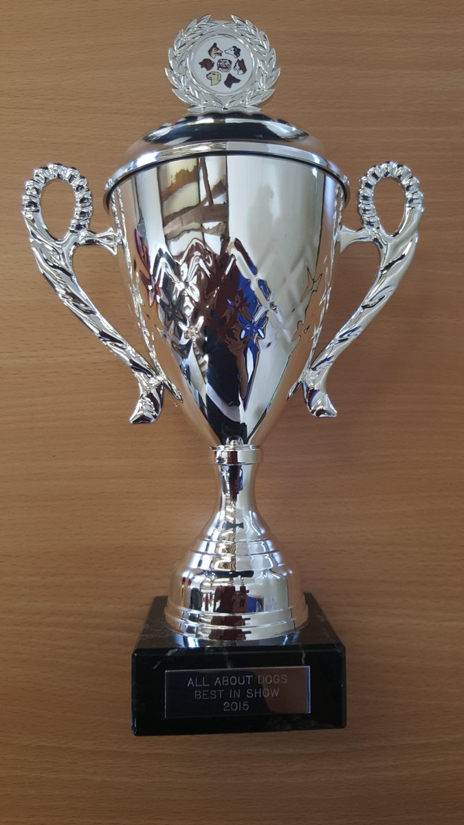 countryshow's tweet photo. @Allaboutdogssho show you could be a winner at the best in show come along to the @countryshow on the 4th/5th July http://t.co/bLBUNmguyP