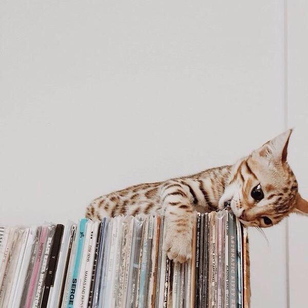 hayden (@empathetxc) on Twitter photo 