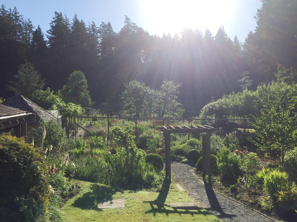erinireland's tweet photo. Salt Spring mornings. Beyond peaceful. #TakeMeBack #SaltSpringEats http://t.co/TQRIZAAgcu
