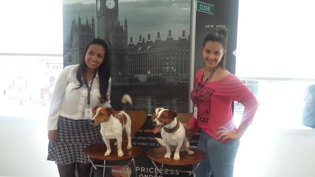 thindinha's tweet photo. Visita das estrelas 😍😍😍 #naotempreco http://t.co/XbagielhlF