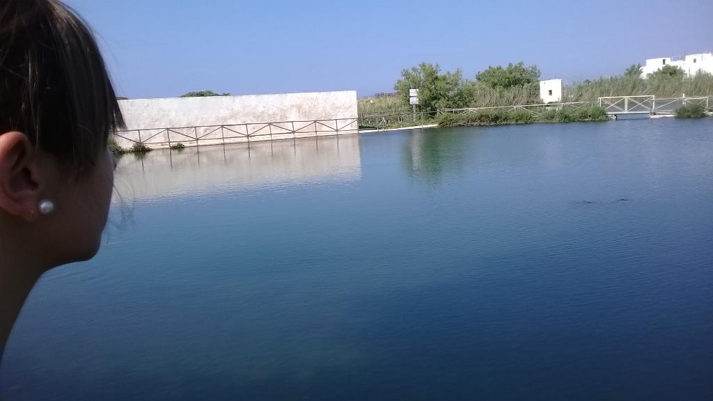stefani53582435's tweet photo. Like me #River #parcodelledunecostiere #brimd #experiencelab http://t.co/T0oXyR7izE