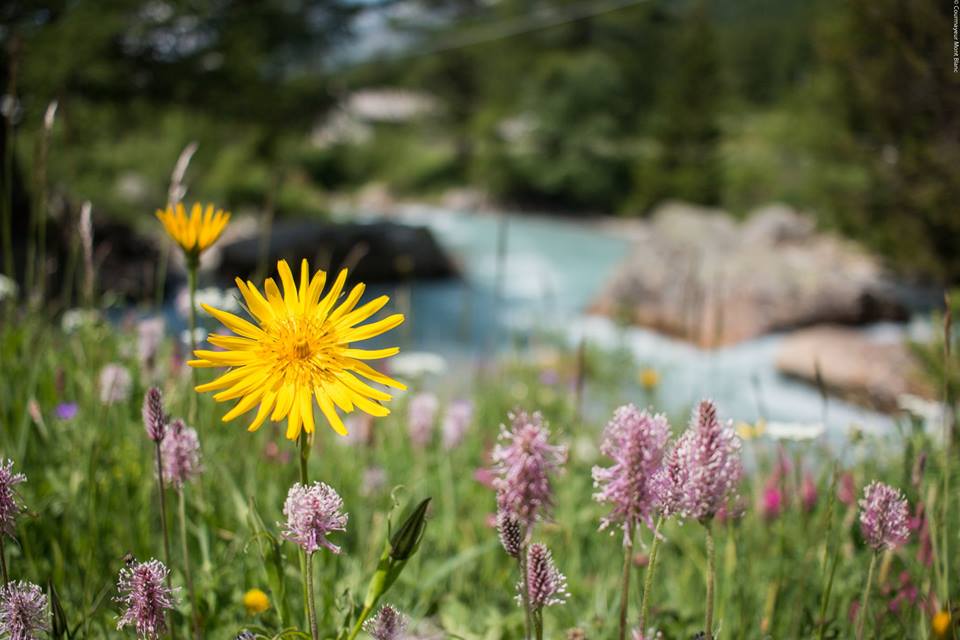 CourmayeurMontB's tweet image. #Spring15 in #Courmayeur La Val Ferret
La bellezza dei villaggi tutto l'anno :D goo.gl/5s4HTE