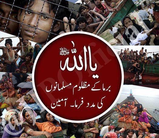 syedkarrarkazmi's tweet photo. #stopkillingburmamuslims @Majid_Agha @wajahatullahkh7 @AhsanAbbasShah @kirankhanPPP @BakhtawarBZ @MirSohrab #PSFpk http://t.co/UD8PXXRxeg