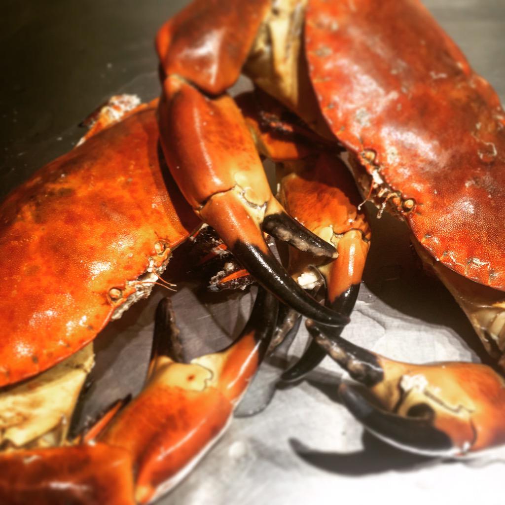 Truly #stunning #fresh #Dorset crab, you have to love these beauties! #seasonal #sustainable @kingscross #now #eco